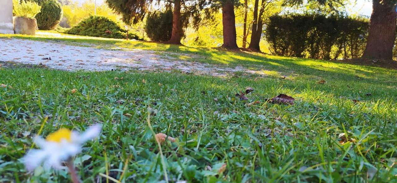 Green House Next - Lovely Apartment For Family And Free Parking Levico Terme Esterno foto