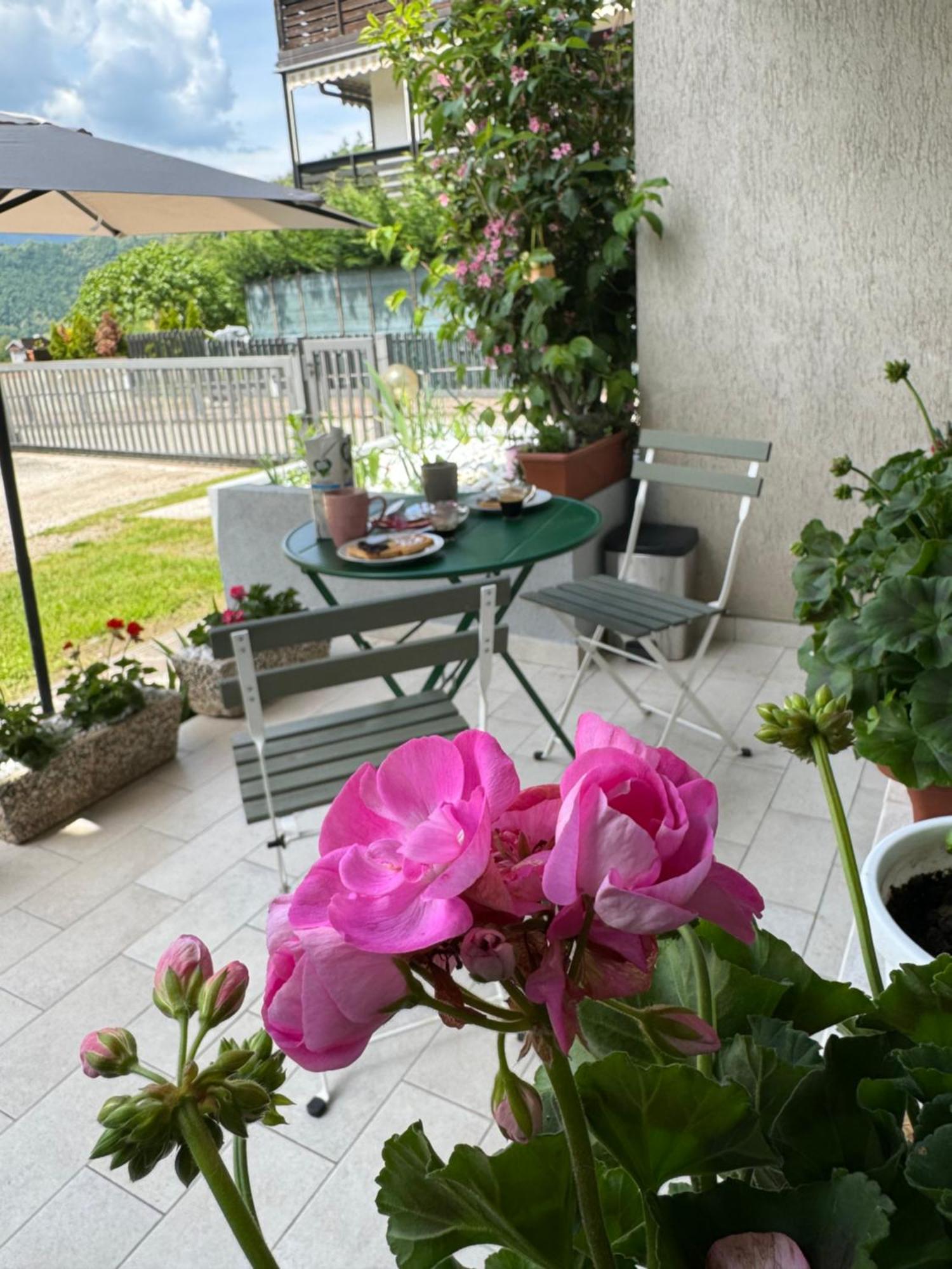 Green House Next - Lovely Apartment For Family And Free Parking Levico Terme Esterno foto