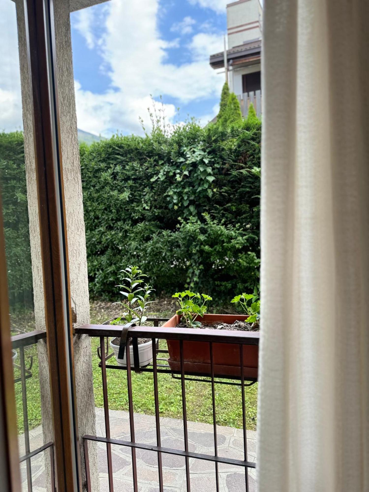 Green House Next - Lovely Apartment For Family And Free Parking Levico Terme Esterno foto